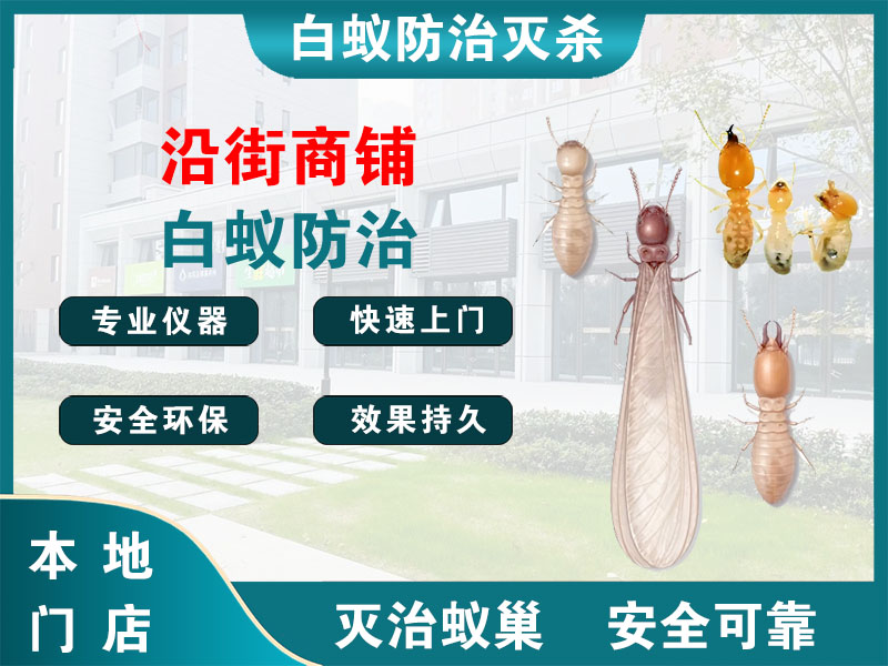 嘉善县沿街商铺白蚁防治