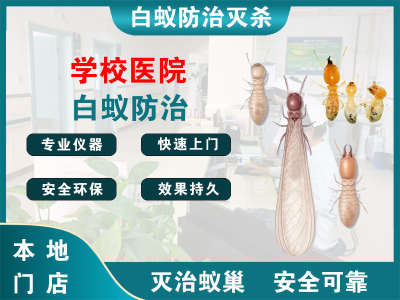 嘉善县学校医院白蚁防治