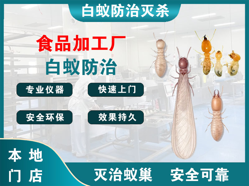 嘉善县食品加工厂白蚁防治