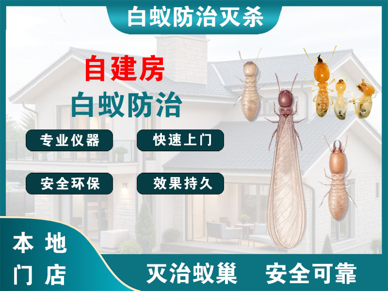 嘉善县自建房白蚁防治