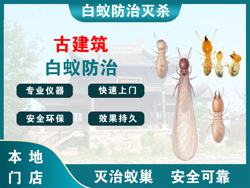嘉善县古建筑白蚁防治