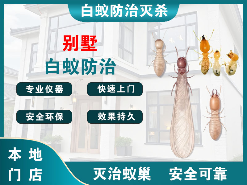 嘉善县别墅白蚁防治