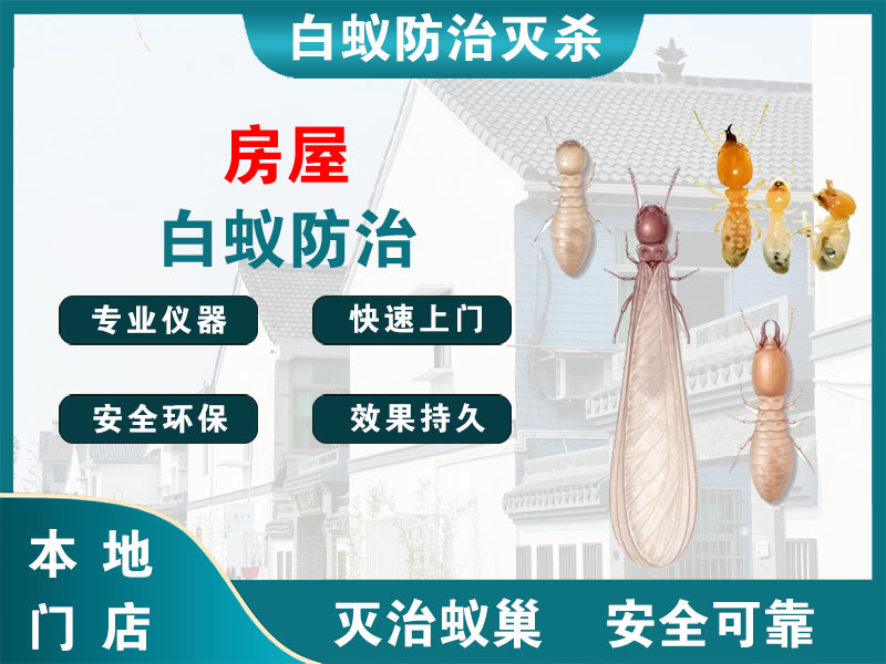 嘉善县房屋白蚁防治